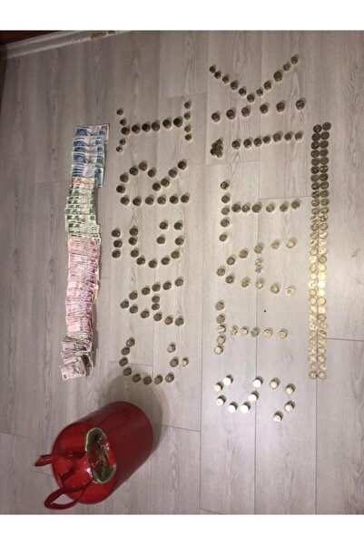 firdevsi hobi Patience Piggy Bank antresite Gray