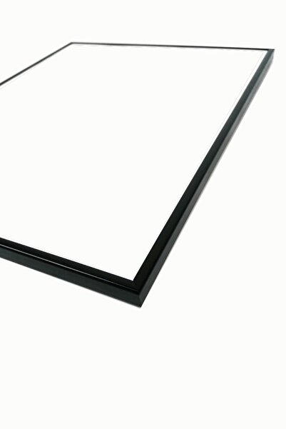 Linacci Üçlü Siyah Alüminyum Metal Çerçeveli Camlı Poster Tablo Seti