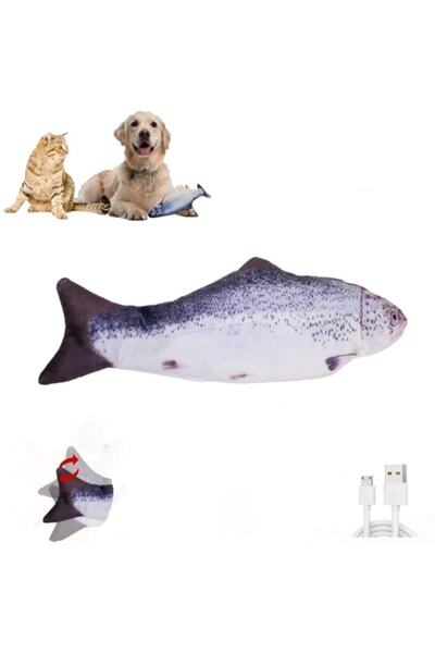 Lion Hareketli Oynayan Balık