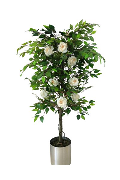 ERHAN FLOWERS 150 Cm Beyaz Gül Ağacı