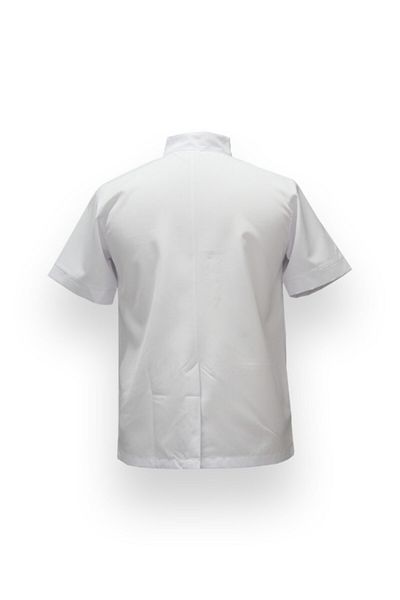 Dinçer Alpaca Men's Work Shirt Short Sleeve Size Xl