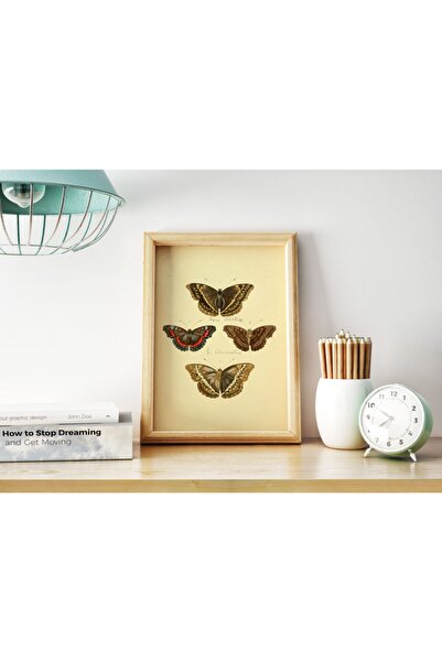 Pegziz Kelebek Türleri Sanatsal Duvar Dekorasyon Poster 40x50cm.