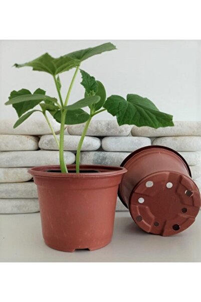 Asenya Yuvarlak Saksı 30 Adet 13x10 Cm Üretim Saksısı Vakum Saksı Ucuz Saksı