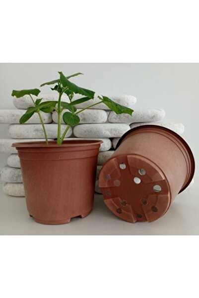 Asenya Yuvarlak Saksı 20 Adet 15x13 Cm Üretim Saksısı Vakum Saksı Ucuz Saksı