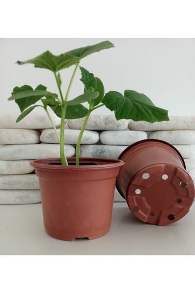 Asenya Yuvarlak Saksı 20 Adet 14x11 Cm Üretim Saksısı Vakum Saksı Ucuz Saksı