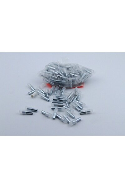 ARON Plastik Başlı Metal Raf Pimi Şeffaf 50 Adet