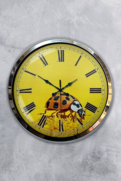 Kasva Concept 40 cm Chrome Metal Ladybug Wall Clock