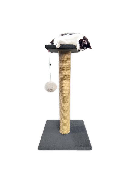 Patiderm Platform Scratching Board - Gray