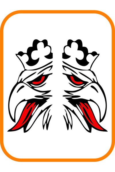 Teknotik ملصق سيارة تجاري باللونين الأيمن والأيسر من King Eagle باللون الأسود...