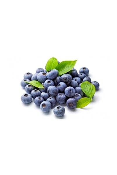 Mutlu Sebzeler Yaban Mersini Blue Berry 125gr'lık 1 Paket