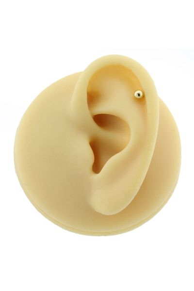 Dianora Piercing 14K Gold Flat Ball Helix/Cartilage Piercing