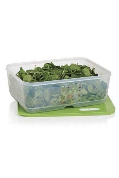 Tupperware Sera 9.9Lt Capacity Shoes