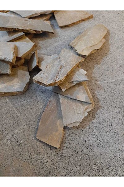 Akvaryum Kayrak Kaya