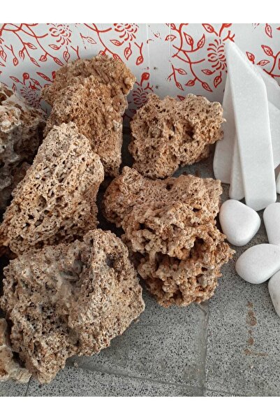 Akvaryum Makarna Kaya