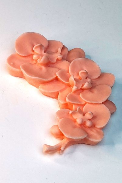 FANTASTİK SANAT ATÖLYESİ 120 Grams Large Size Baby Orchid Bath and Hand Soap in Special Box - Tropical Flower Scented