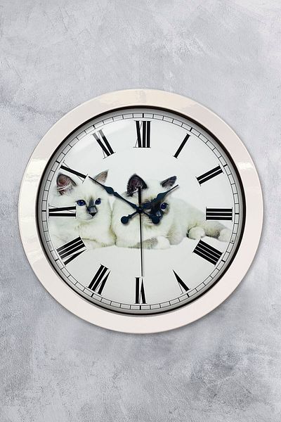 Kasva Concept Gift 36 cm White Metal Cat Wall Clock