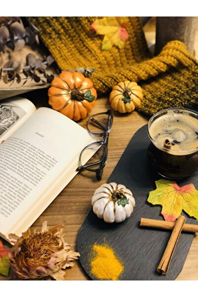 Reynes Balkabağı Dekor 3'lü Set Beton Kabak Obje Kabak Renkli Biblo Balkabağı...