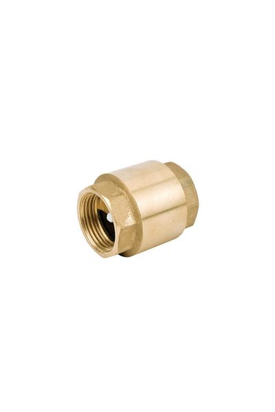 GPD 3/4 Vertical Spring Check Valve