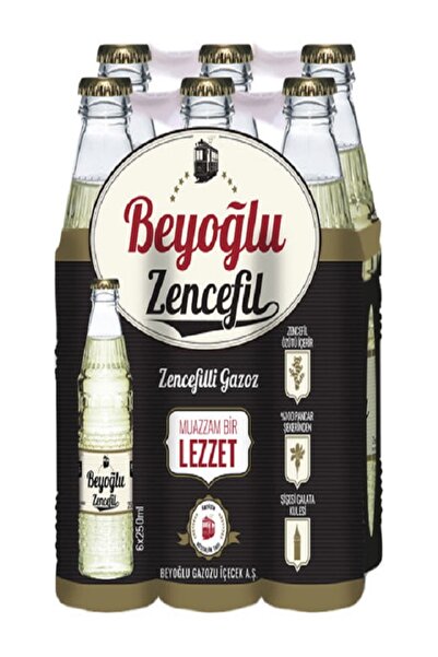 Beyoğlu Zencefilli Aromalı Gazoz 250 ml