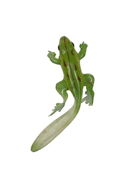 çapariav Silikon Kurbağa-suni Balık Yemi ( 8 Cm )