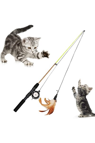 Lion Kedi Oyuncağı Özel Tasarım Kedi Oltası