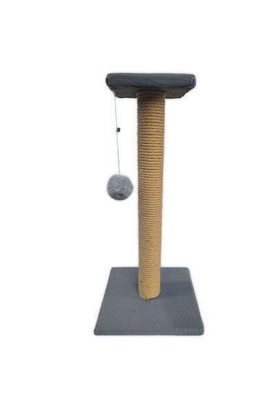 Patiderm Platform Scratching Board - Gray