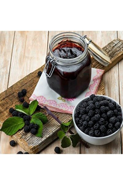 Genel Markalar Karadut Pekmezi (urmu Dut) 500 Gr.
