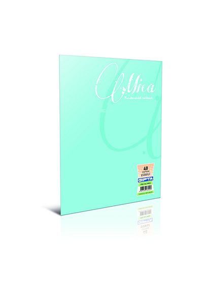 Gıpta 1708 Mica Pp Cap, offset Notebook A4 80/4