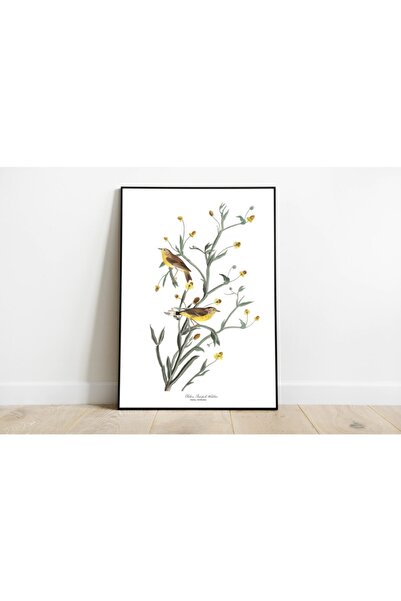 Pegziz Kuş Türleri Sanatsal Duvar Dekorasyon Poster 60x90cm.