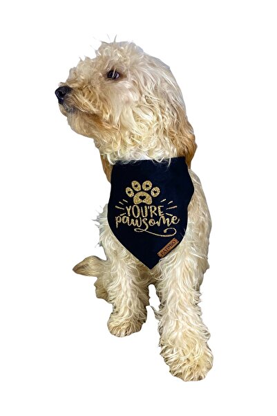 PATİMİO Pawsome Kedi Ve Köpek Tasma Fular Bandana