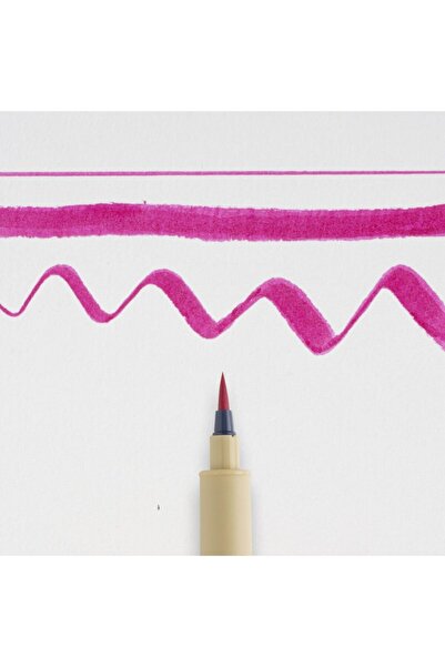 Sakura Pigma: Brush Tip Pen: 21 Roses