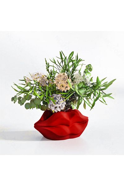 CMHOME Red Lip Decorative Concrete Flower Pot, Vase (20 cm Width-9 cm Height)