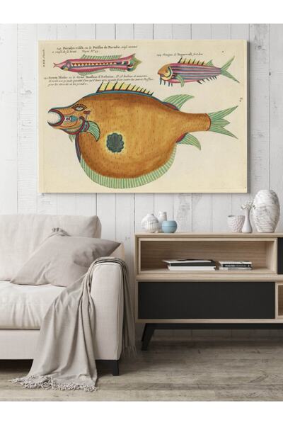 Pegziz Αφίσα Διακόσμησης Τροπικών Καλλιτεχνικών Ειδών Ψαριών Duar - 40x50cm