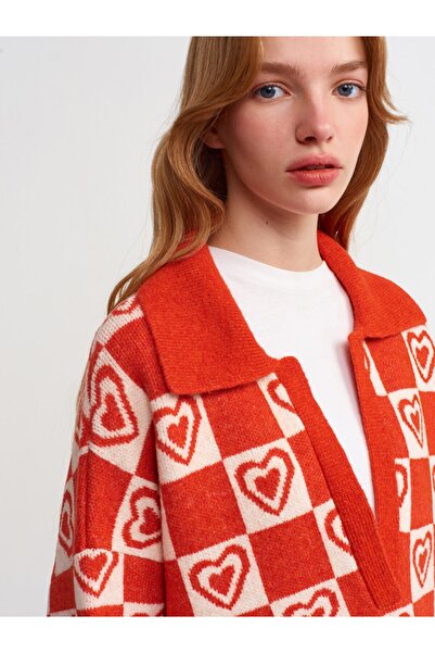 Dilvin 10111 Polo Yaka Desenli Kazak