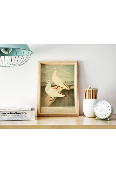 Pegziz Kuş Türleri Güvercin Sanatsal Duvar Dekorasyon Poster 50x70cm.