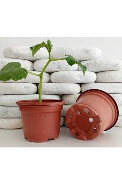 Asenya Yuvarlak Saksı 50 Adet 10,5x8 Cm Üretim Saksısı Vakum Saksı Ucuz Saksı