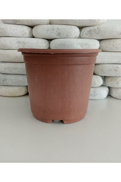 Asenya Yuvarlak Saksı 20 Adet 15x13 Cm Üretim Saksısı Vakum Saksı Ucuz Saksı