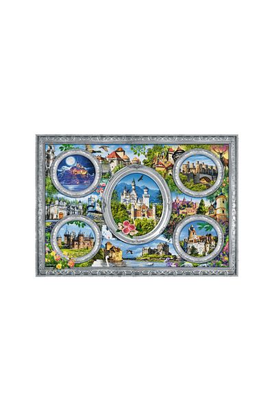 Art Puzzle Castles of the World 1000 Piece Unisex Kids Puzzle