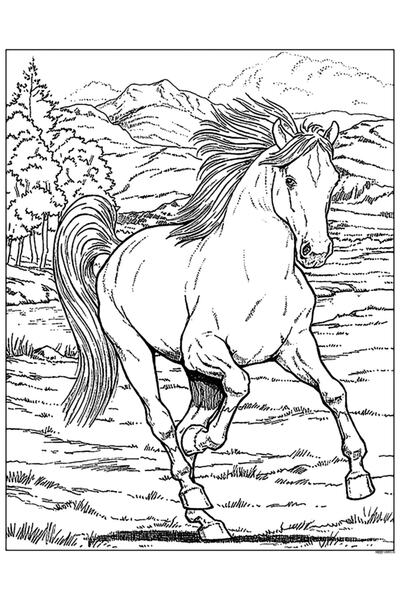 Lona Sanat Boyanabilir Tablo Tuval At 25x35 Cm