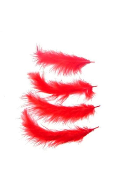 HİSARAKSESUAR Kuş Tüyü Kırmızı Renk 100 Adet