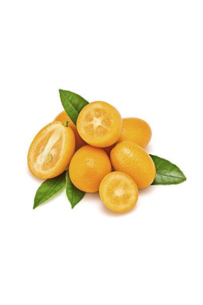 Avokado Bahçesi Kumkuat (KAMKAT) 1 Kg