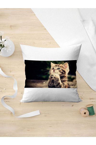 Panorama Ajans Special Gift Pillow Case for Sweet Kitten Lovers