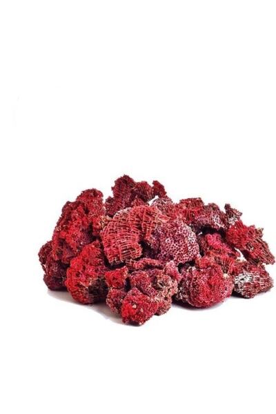 YILMAZ ŞİFALI BİTKİLER VE BAHARAT ÜRÜNLERİ Yedi Kardeş Kanı 50 Gram