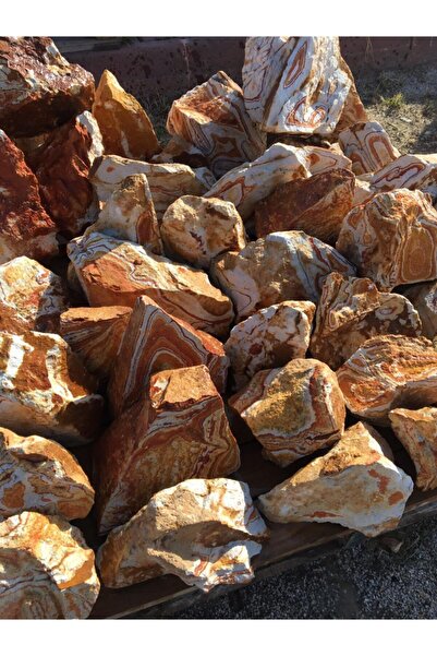 Akvaryum Gökkusagı Kaya