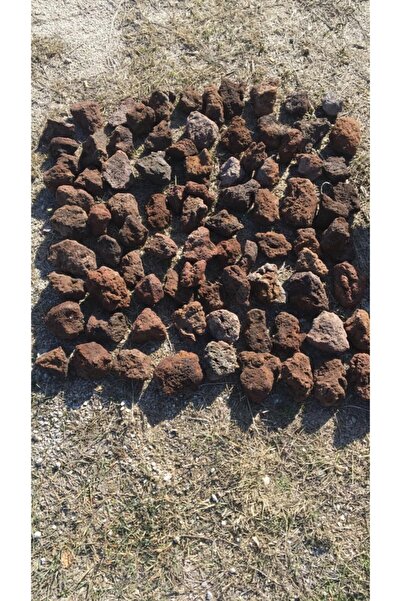 Akvaryum Lav Kayası