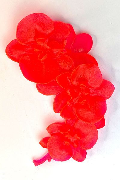 FANTASTİK SANAT ATÖLYESİ Decorative Gift 120 gr Large Size Red Orchid Bath and Hand Soap Tropical Flower Scented