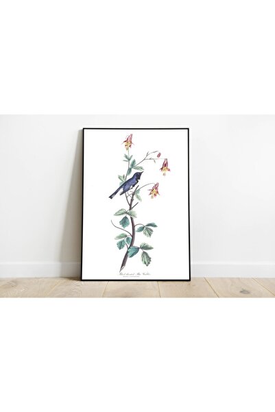 Pegziz Kuş Türleri Sanatsal Duvar Dekorasyon Poster 60x90cm.