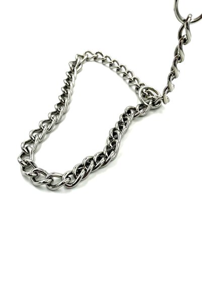 Tasma Market Çelik Zincir Köpek Eğitim Tasması