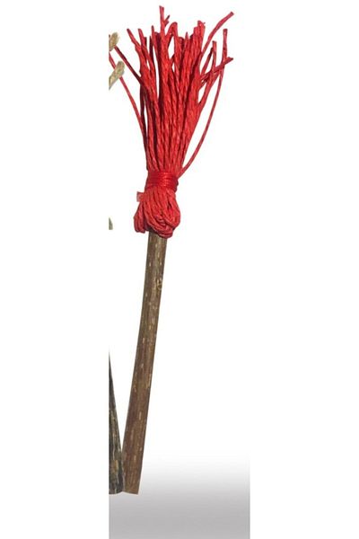 MATATABİ CATS 1 Piece Vacuum Natural Cat Chewing and Stick, Natural Cat Toy with String