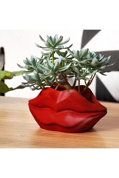 CMHOME Red Lip Decorative Concrete Flower Pot, Vase (20 cm Width-9 cm Height)